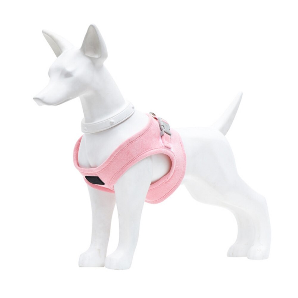 Dog Harness Leash Set