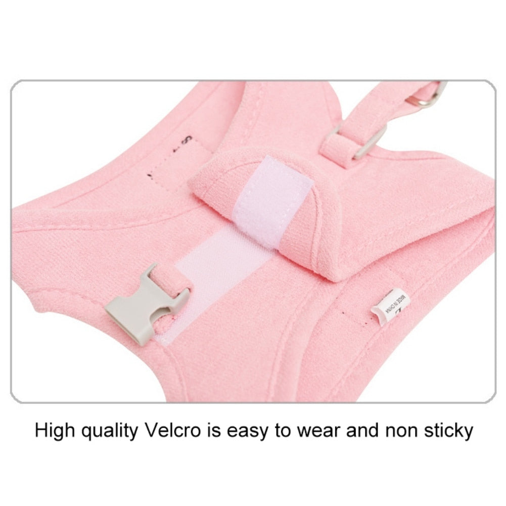 Dog Harness Leash Set