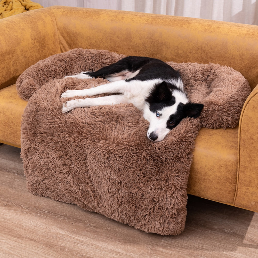 Comfortable Dog Sofa Bed