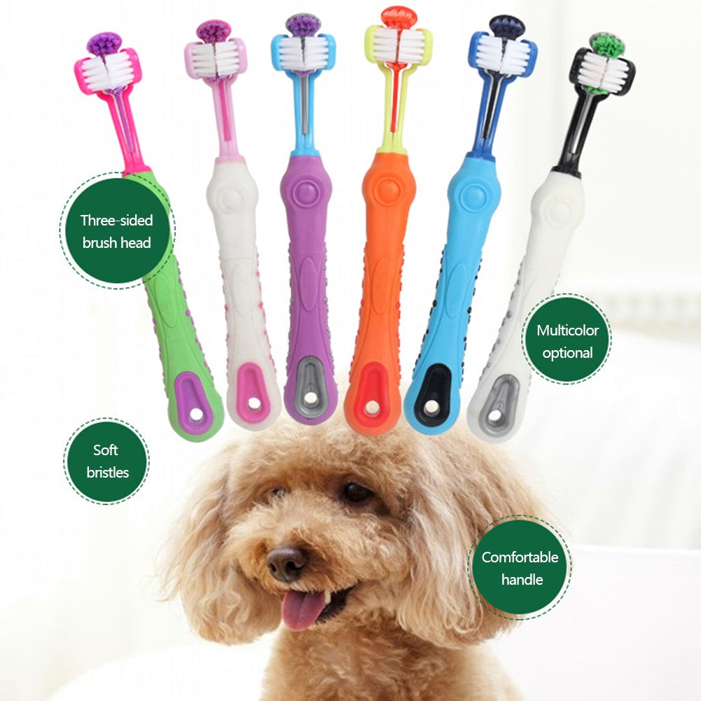 3 sided dog toothbrush best sale