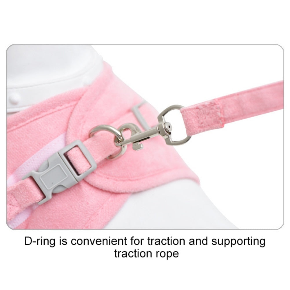 Dog Harness Leash Set