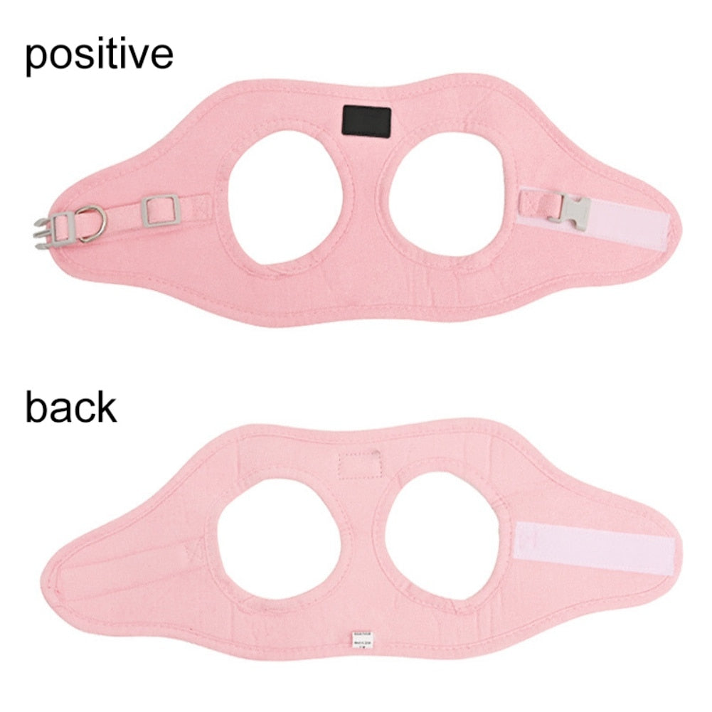 Dog Harness Leash Set