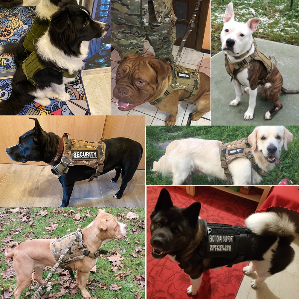 Dog Tactical Harnesses