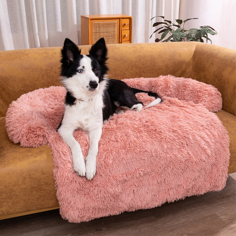 Pink dog online couch