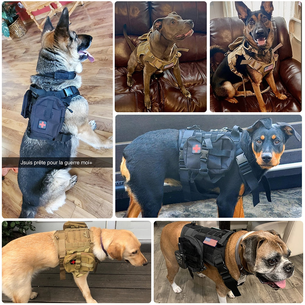 Dog Tactical Harnesses