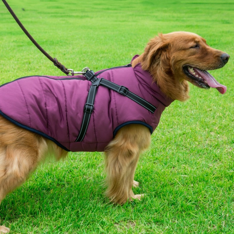 Dog Winter Coat With Harness Amaysn Acres