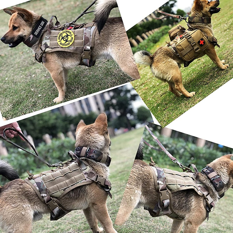 Tactical  Harness and training Leash Set For Dogs