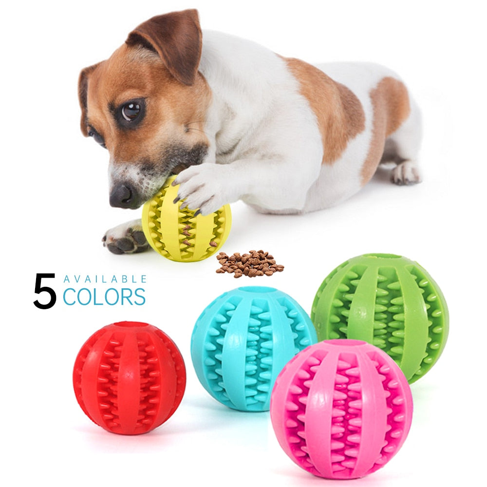 Dog Interactive Chew Ball Toys – Amaysn Acres